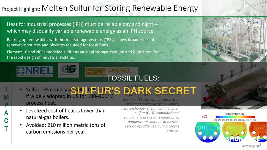 do es burning fossil fuels release sulfur