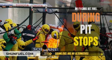 F1 Fuel Strategy: The Art of Pit Stop Refueling