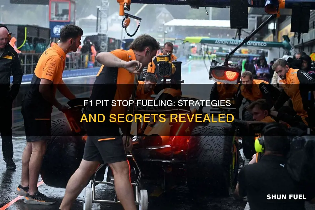 do f1 cars get fuel during pit stops
