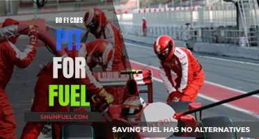 F1 Fuel Stops: A Strategic Pit Stop