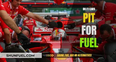 F1 Pit Stops: Fueling Strategies and the Science Behind It