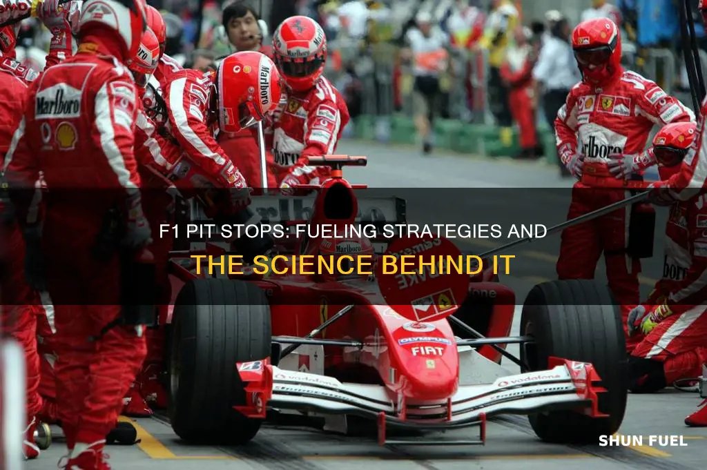 do f1 cars pit for fuel