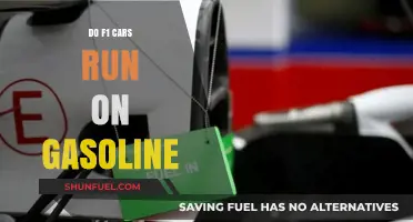 Exploring the Fuel Dynamics of Formula 1 Cars: Gasoline's Role