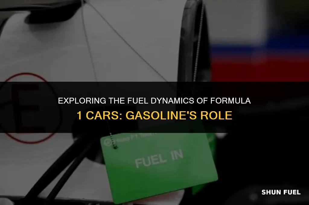 do f1 cars run on gasoline