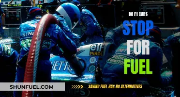 F1 Fuel Stops: Strategy or Speed Limit?