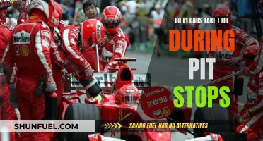 F1 Pit Stop Fuel Strategies: When and Why?