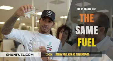 Do F1 Teams Share the Same Fuel? Unveiling the Truth