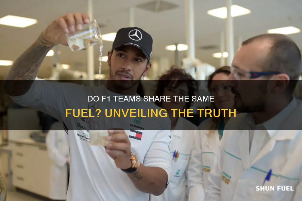 do f1 teams use the same fuel
