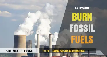 How Factories' Fossil Fuel Burning Impacts Climate Change