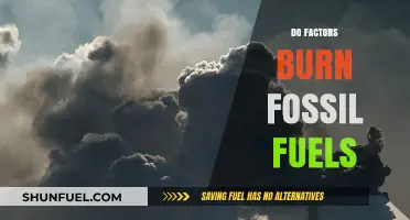 Factors Burning Fossil Fuels: Understanding the Drivers