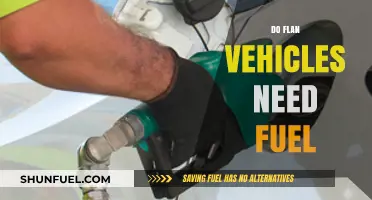 Do Flan Vehicles Need Fuel? Exploring Their Energy Requirements