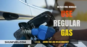 Can Flex Fuel Vehicles Run on Regular Gasoline? Here's What to Know
