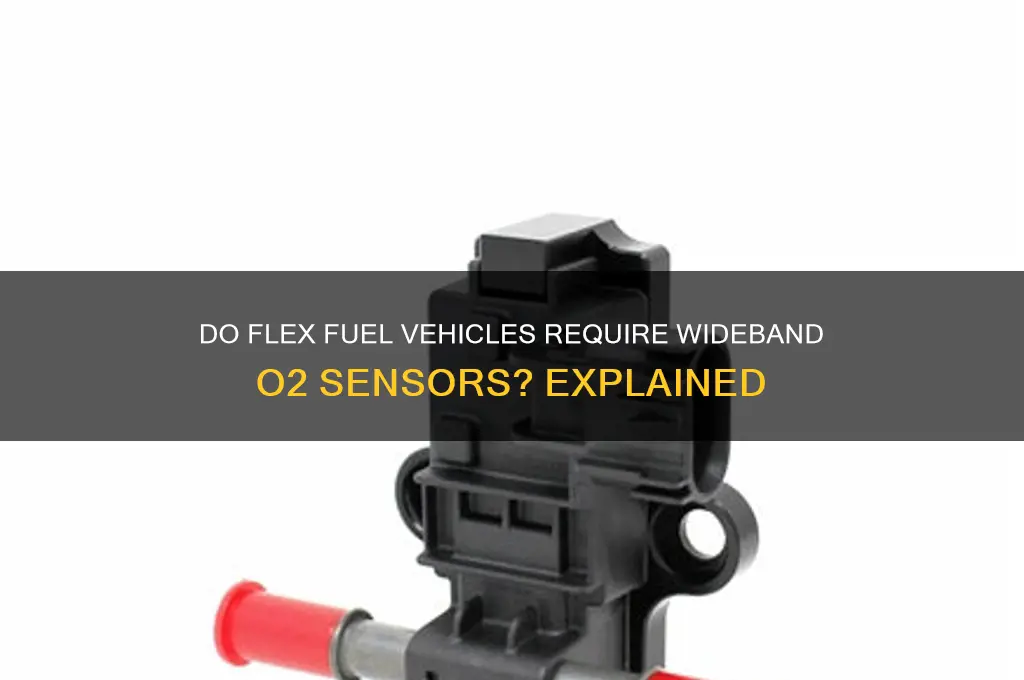 do flex fuel vehicles use wideband o2 sensors