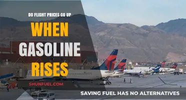 Fuel for Thought: The Impact of Gasoline Prices on Air Travel Costs