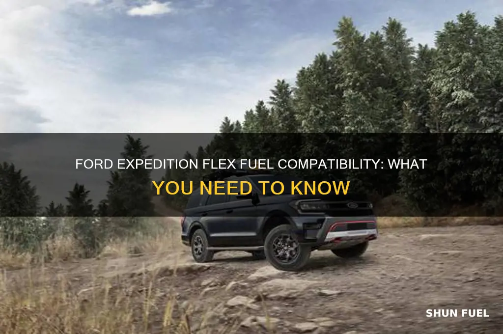 do ford expeditions use flex fuel