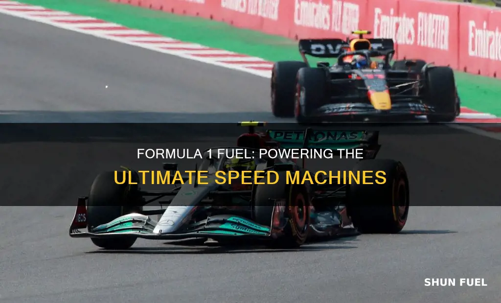 do formula 1 cars use fuel