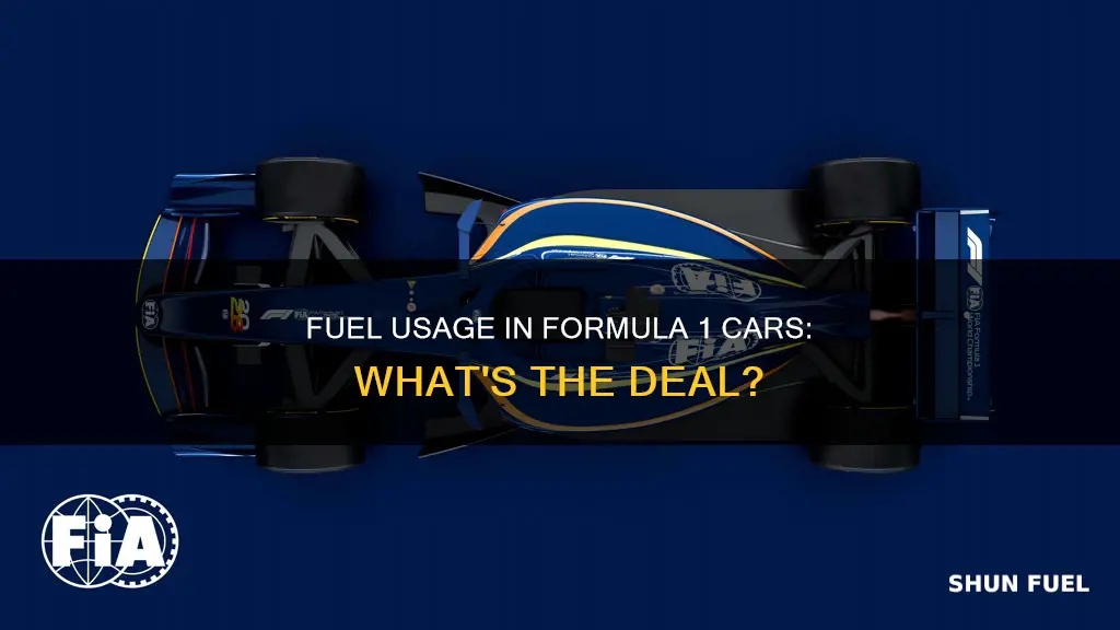 do formula 1 cars use fuel