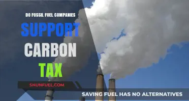 Fossil Fuel Giants: Carbon Tax Allies or Foes?