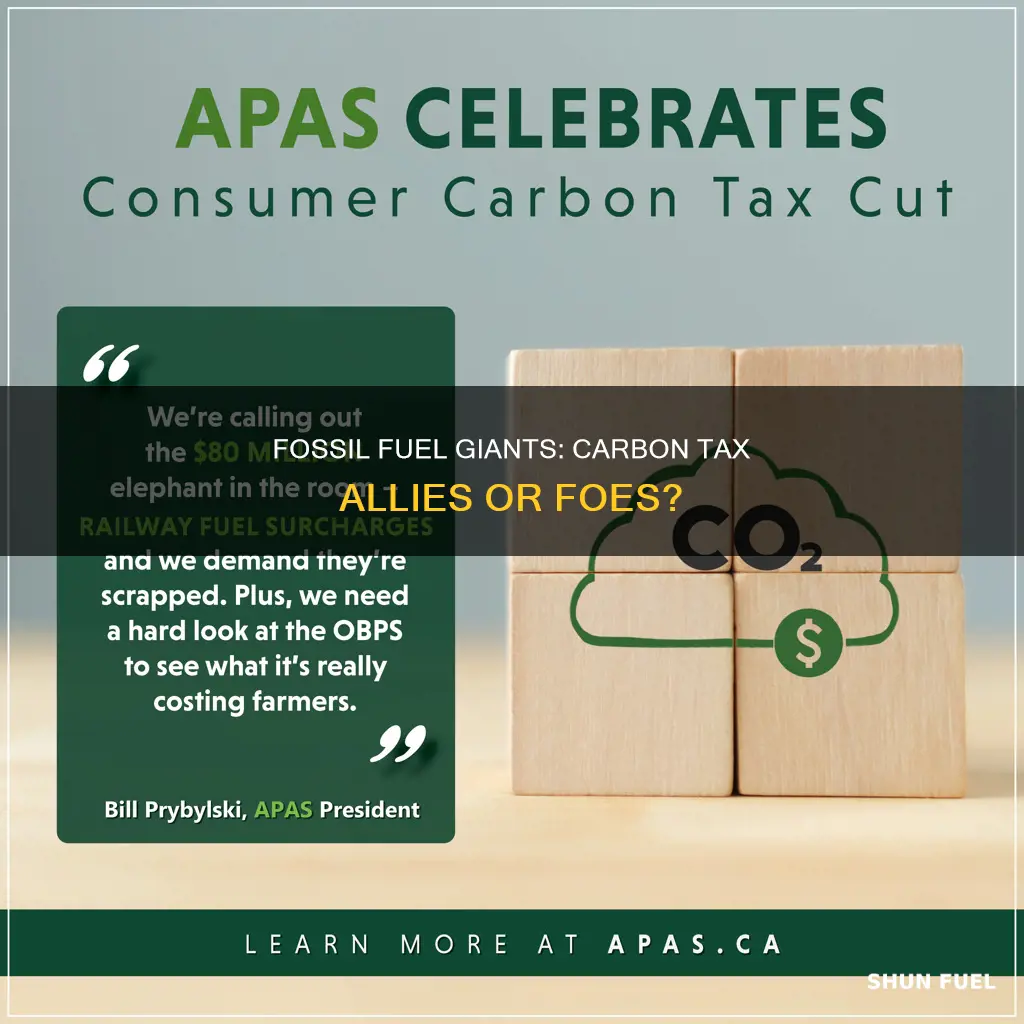 do fossil fuel companies support carbon tax