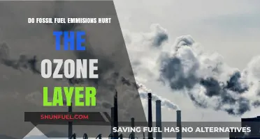 Fossil Fuel Emissions: Damaging Ozone, Our Shield