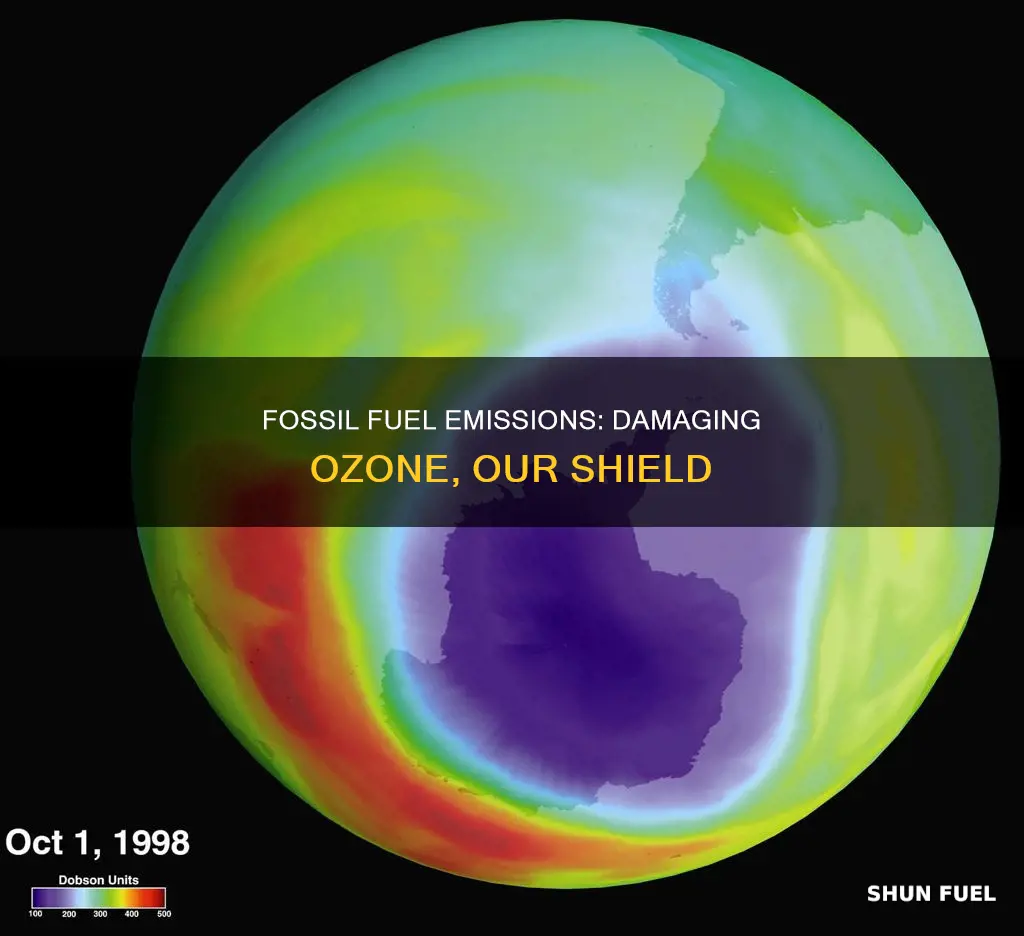do fossil fuel emmisions hurt the ozone layer