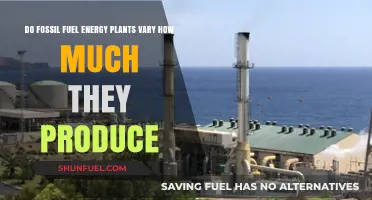 Fossil Fuel Energy Plants: Variable Power Generation