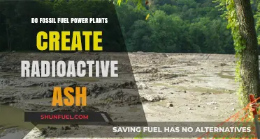Fossil Fuel Power Plants: Radioactive Ash Risk?