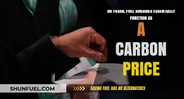Fossil Fuel Subsidies: Carbon Price Imposters?
