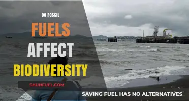 Fossil Fuels: Biodiversity's Bane