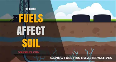 Fossil Fuels: Soil's Bane or Boon?