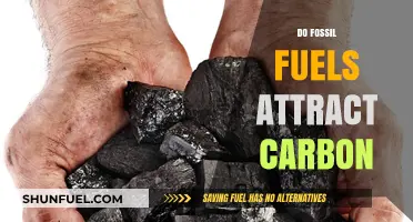 Fossil Fuels: Carbon's Magnetic Pull