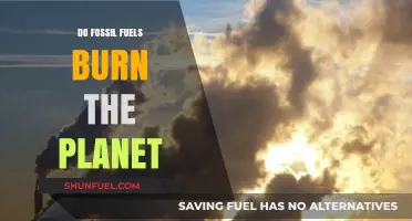 Fossil Fuels: Burning Our Planet, Our Future