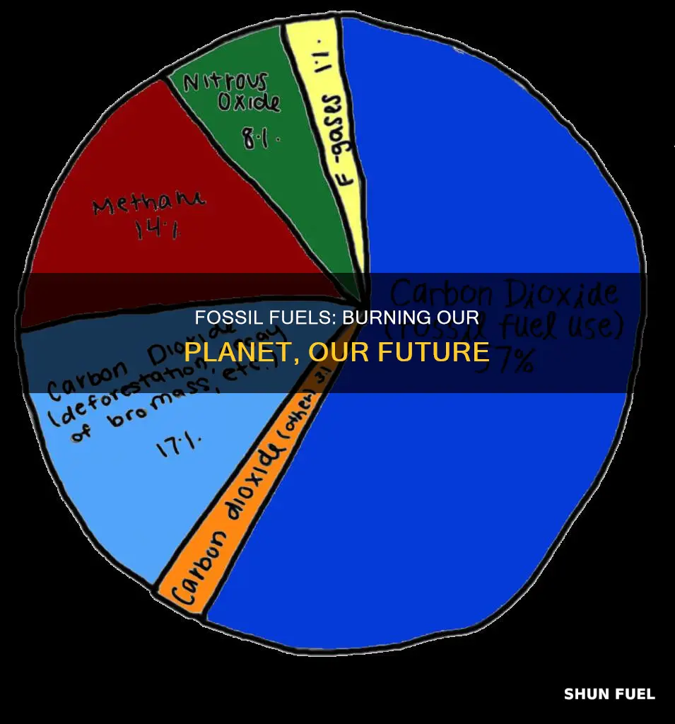 do fossil fuels burn the planet