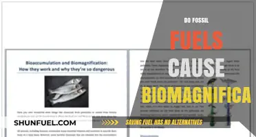 Fossil Fuels: A Biomagnification Trigger?