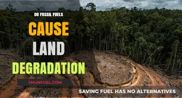 Fossil Fuels: Degraded Lands and Our Future