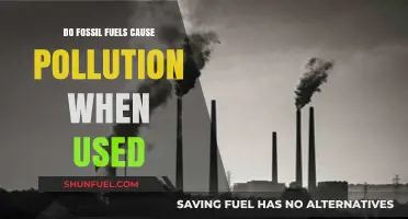 Fossil Fuels and Pollution: Uncovering the Environmental Impact of Usage