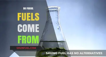 The Origin of Fossil Fuels: Unraveling the Mystery