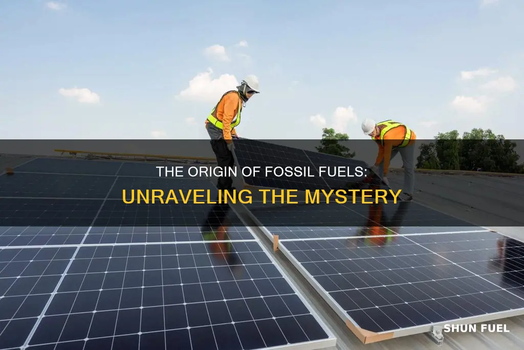 do fossil fuels come from