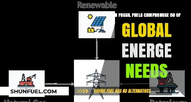 Fossil Fuels: Half of Our Energy, But at What Cost?
