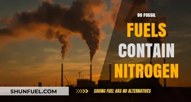 Fossil Fuels: Nitrogen's Surprising Presence