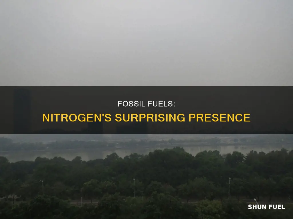 do fossil fuels contain nitrogen
