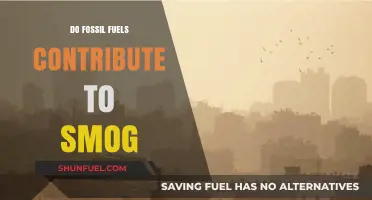 How Fossil Fuels Create Smog?