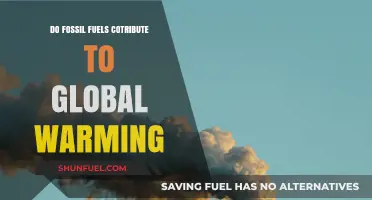 Fossil Fuels: Warming Our Planet?