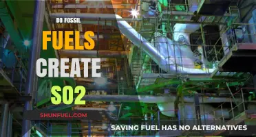 Fossil Fuels: SO2's Dark Origins