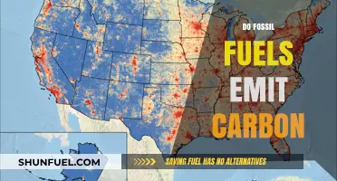 Fossil Fuels: Carbon Emitters and Climate Change Drivers