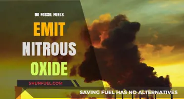Fossil Fuels and Nitrous Oxide: A Complex Relationship