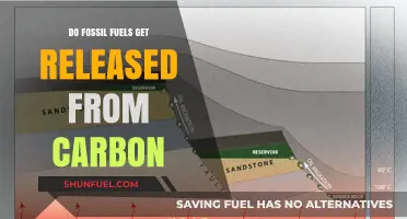 Carbon's Role: Fossil Fuels and Their Emissions