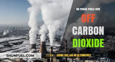 Fossil Fuels: Carbon Dioxide's Dark Secret