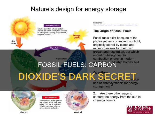 do fossil fuels give off carbon dioxide