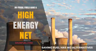 Fossil Fuels: Energy-Dense, but at What Cost?